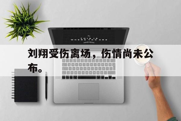 乐鱼体育-刘翔受伤离场，伤情尚未公布。